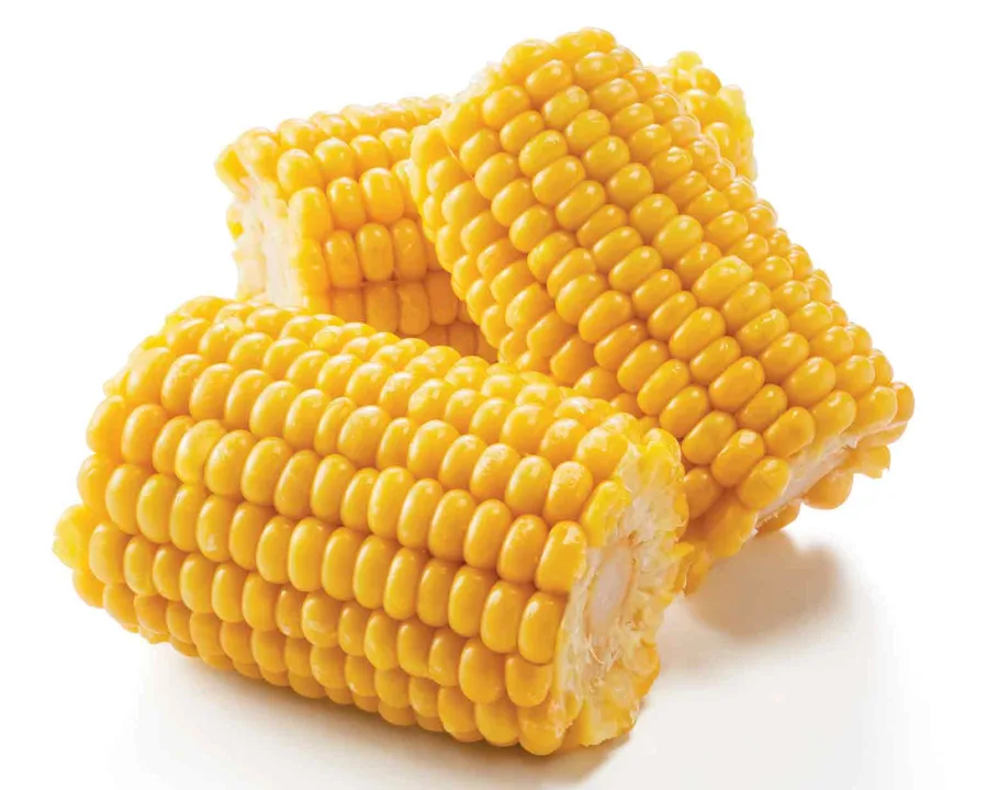 Grilled corn on the cob