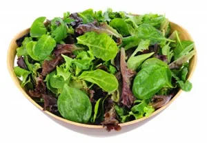Fresh garden salad